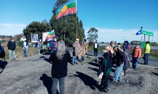 COMUNIDADES MAPUCHE RECLAMAN SOLUCIONES TRAS FUMIGACION QUE DESTRUYO CULTIVOS EN PUERTO SAAVEDRA