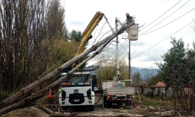 POR TALA DE ARBOLES VECINOS DE LICAN RAY QUEDARON SIN ENERGIA ELECTRICA EL SABADO