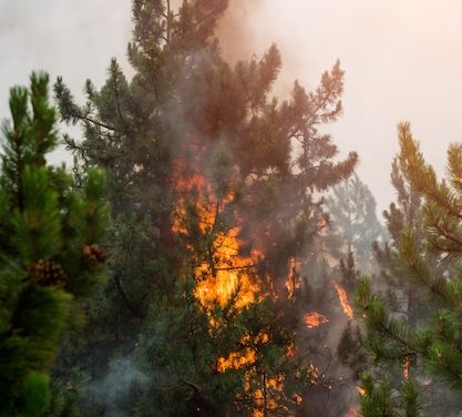 HORRIBLE TRAGEDIA POR TEMPORAL EN VILLARRICA