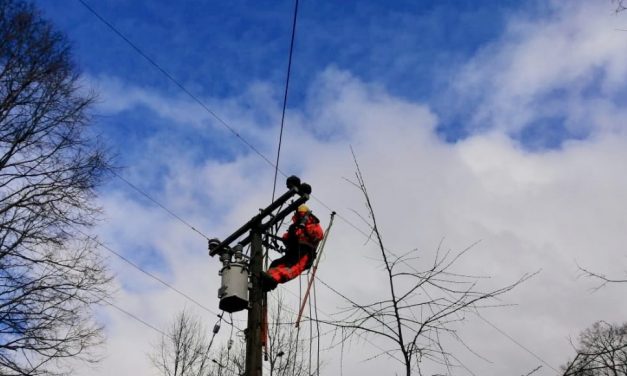 CGE INFORMA SECTORES SIN ENERGÍA ELÉCTRICA EN LA ARAUCANÍA