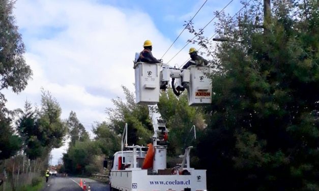 CGE INFORMA SECTORES SIN ENERGÍA ELÉCTRICA EN LA ARAUCANÍA