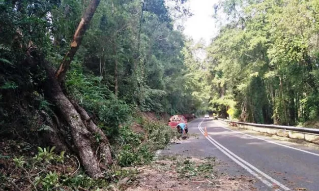 ONEMI DECLARA ALERTA TEMPRANA PREVENTIVA POR VIENTO PARA LA REGIÓN DE LA ARAUCANÍA