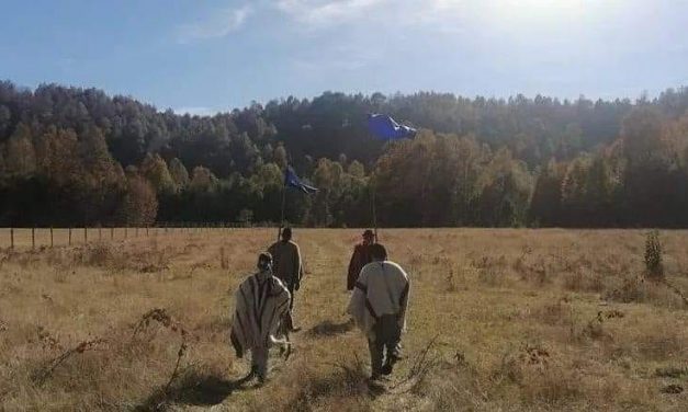 VILLARRICA SE ESTREMECE ANTE MUERTE DE COMUNERO MAPUCHE