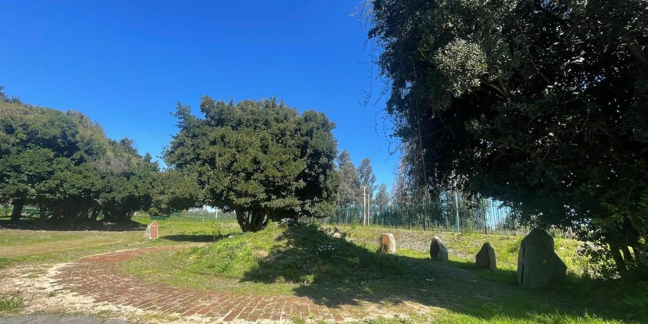 CMN aprueba declaratoria como Monumento Histórico del primer memorial mapuche por derechos humanos